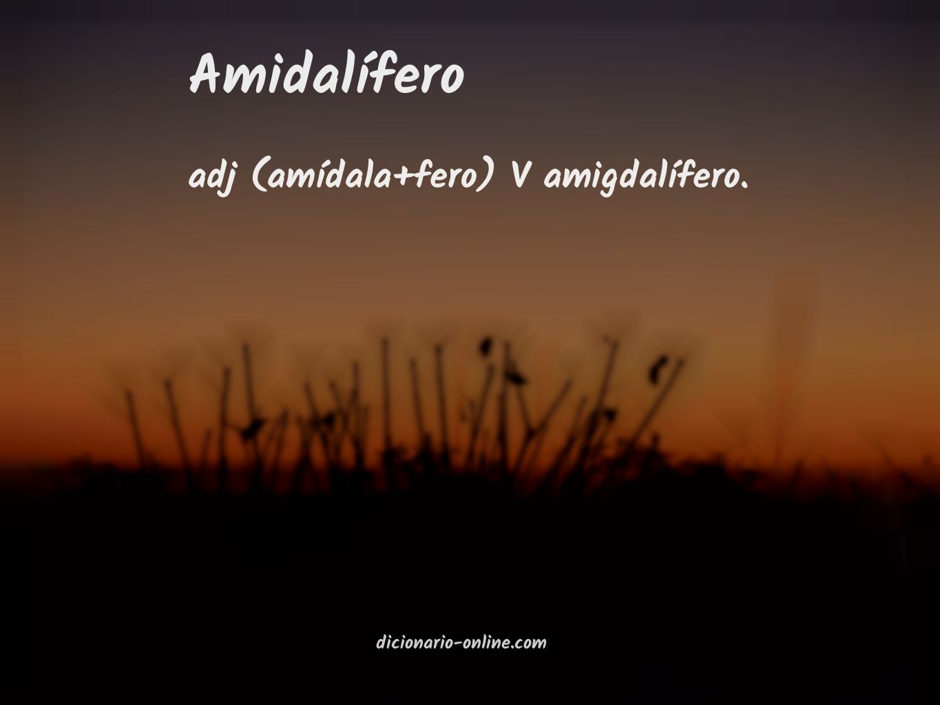 Significado de amidalífero