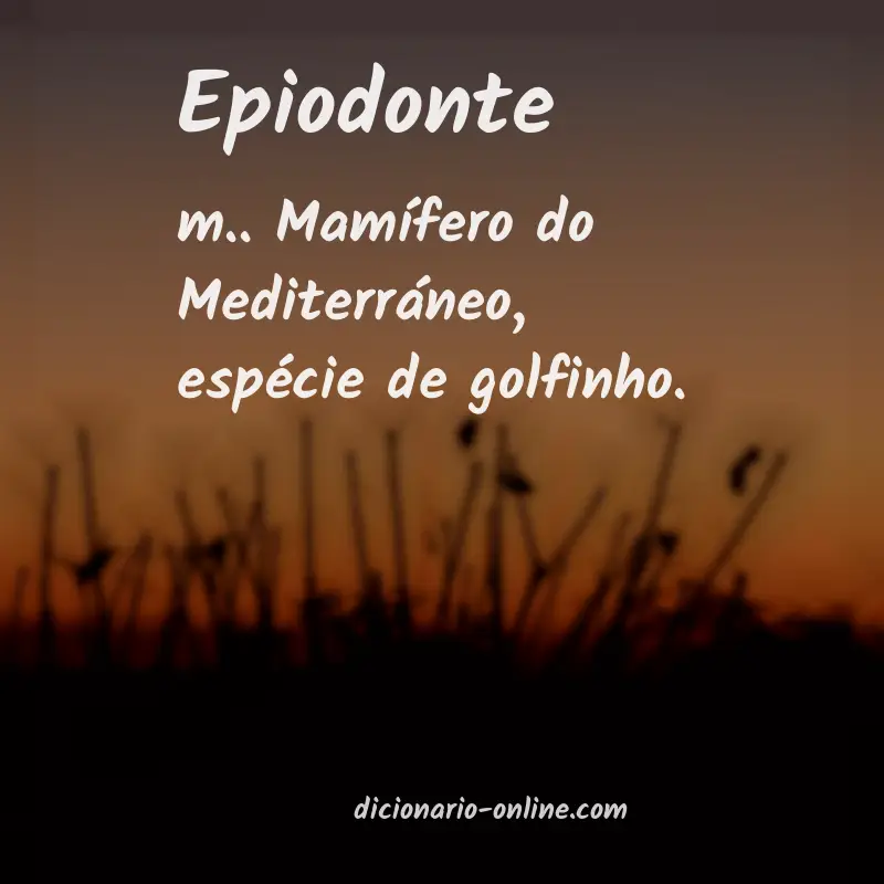 Significado de epiodonte