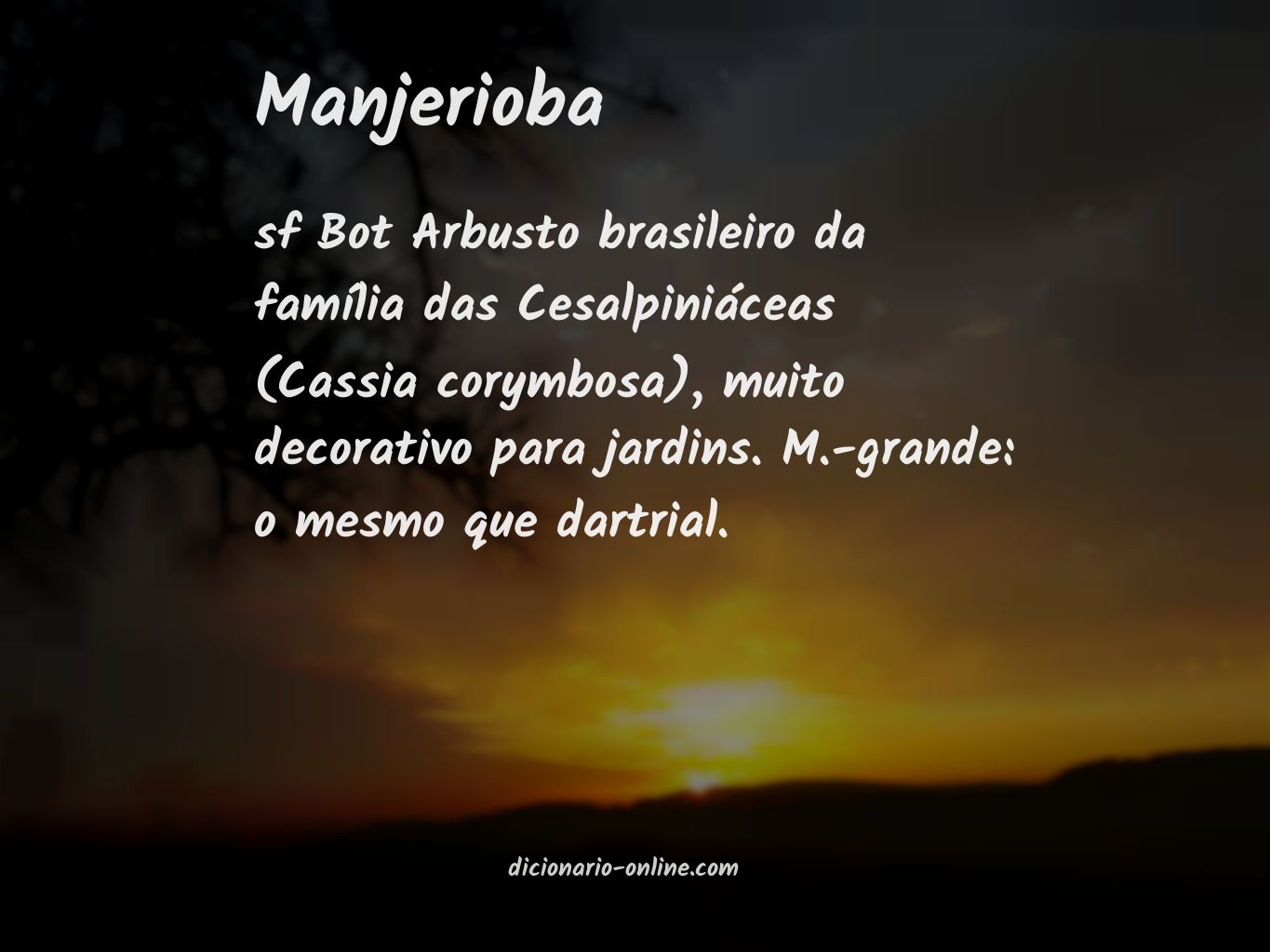 Significado de manjerioba