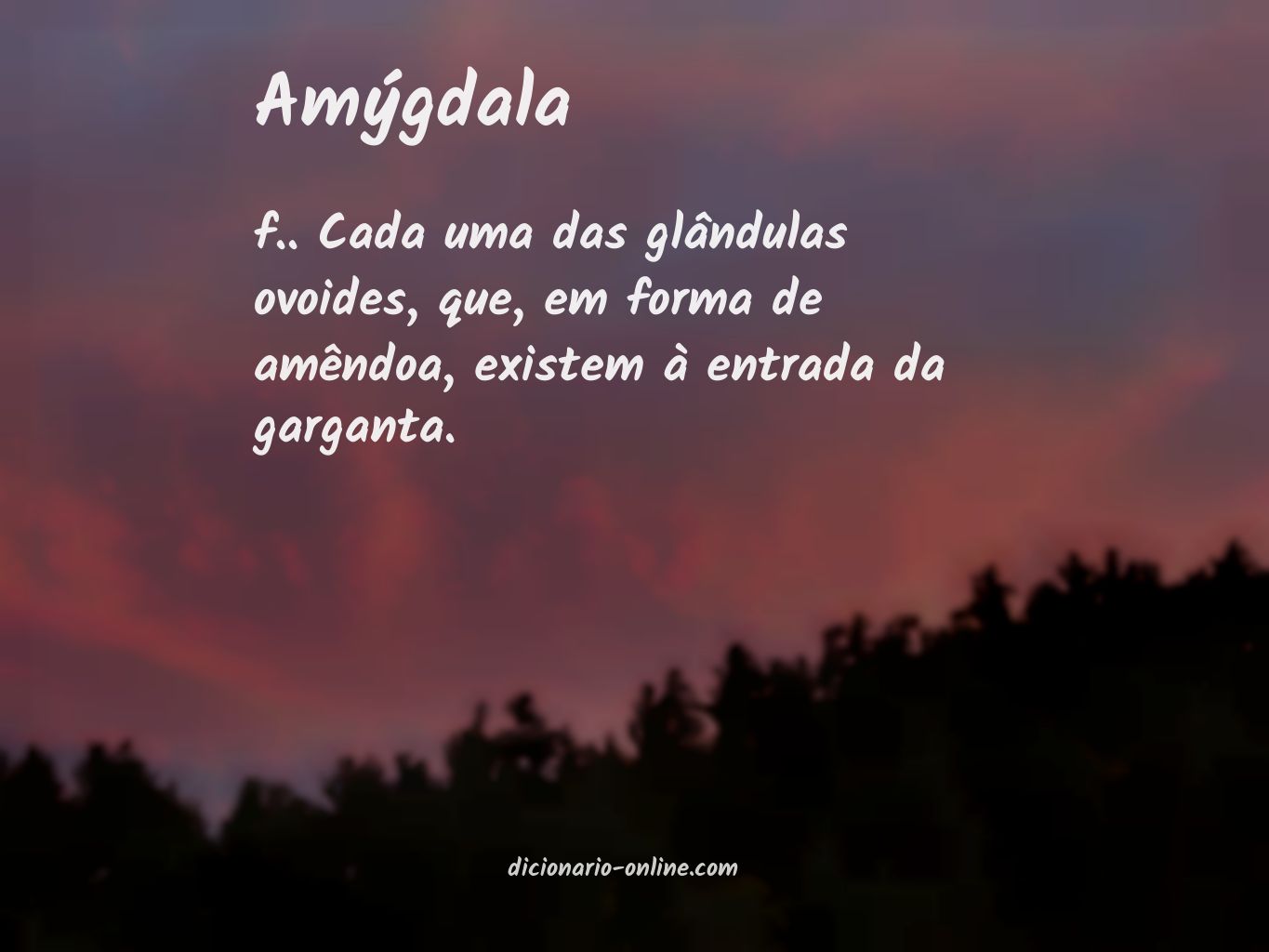 Significado de amýgdala