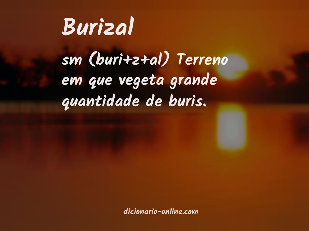 Significado de burizal