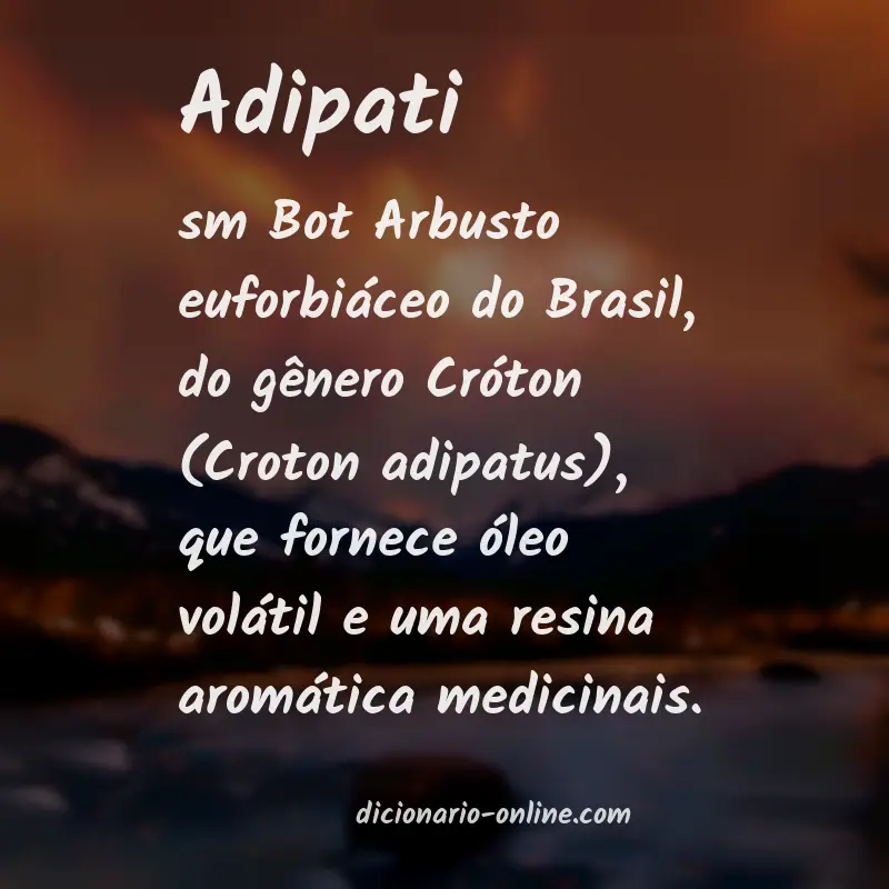 Significado de adipati