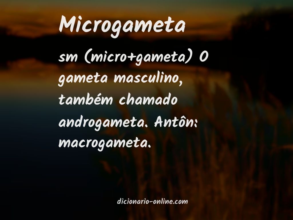 Significado de microgameta