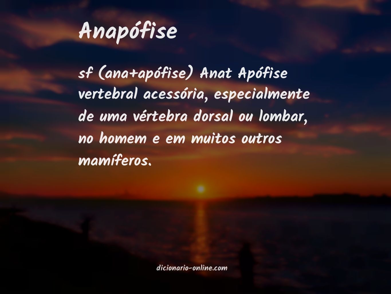 Significado de anapófise