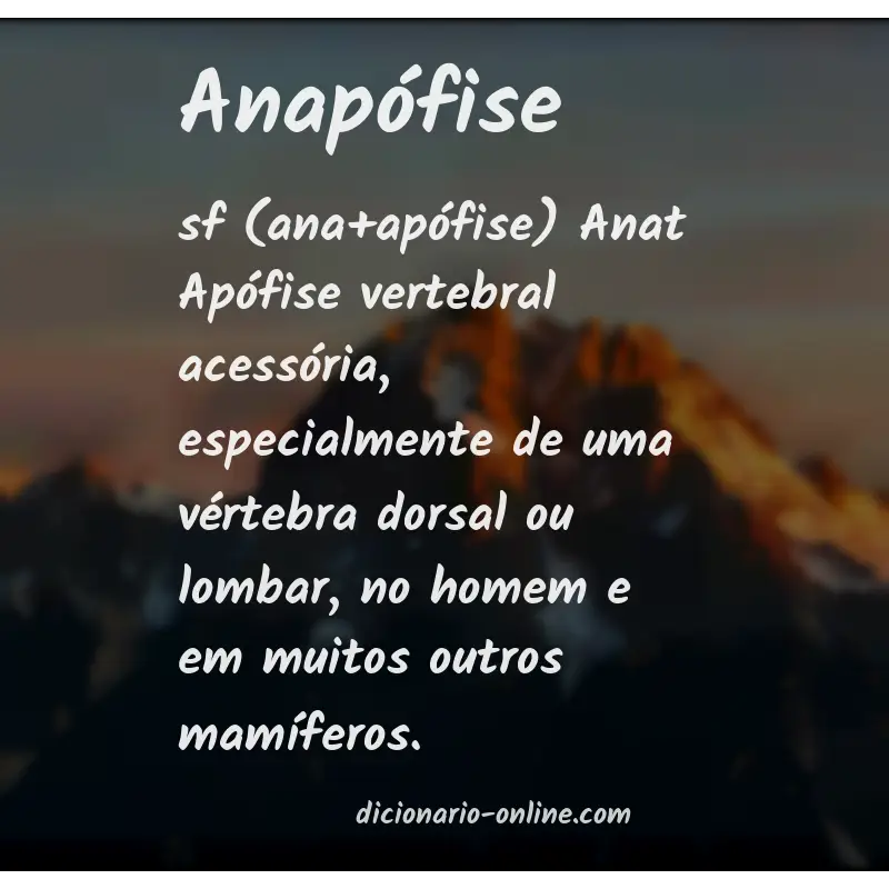 Significado de anapófise