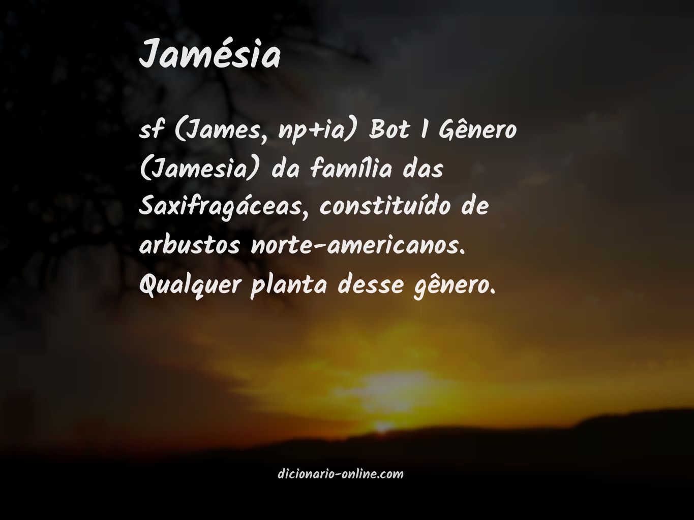 Significado de jamésia