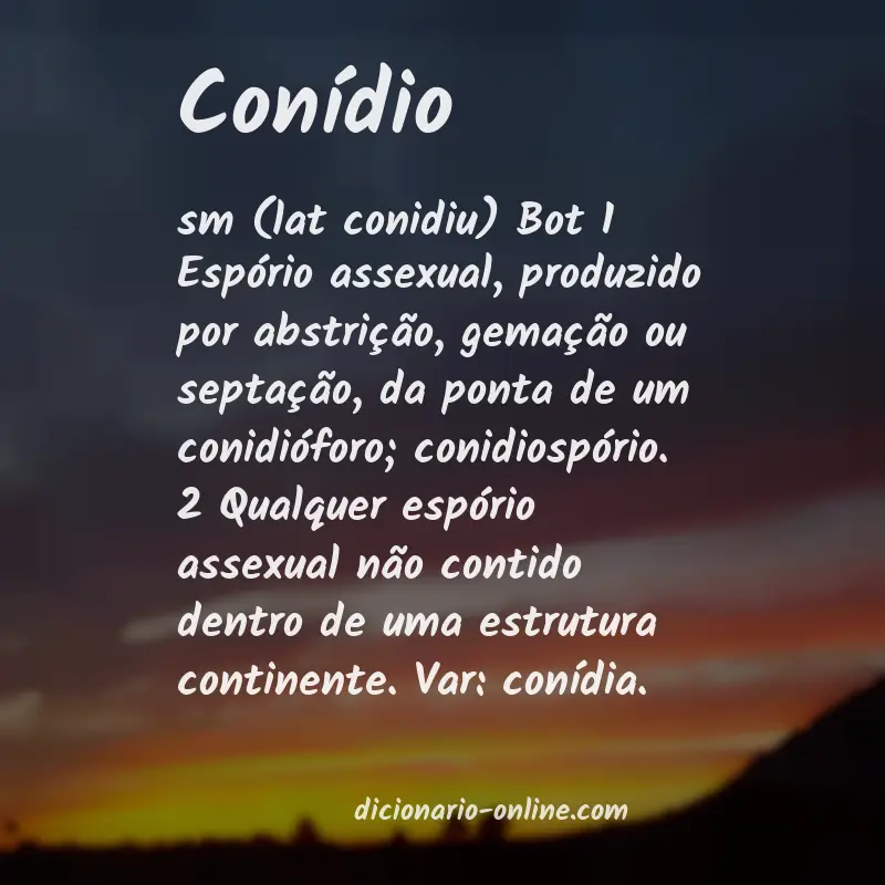 Significado de conídio
