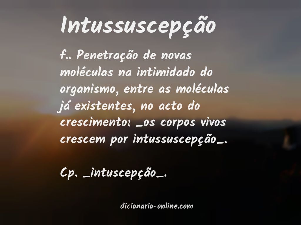 Significado de intussuscepção