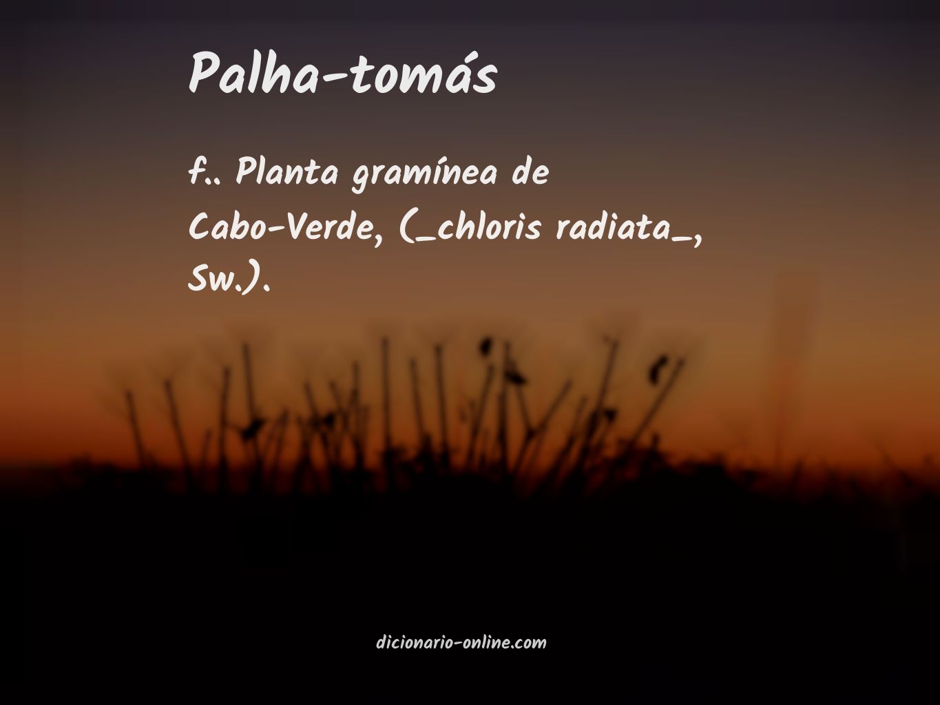 Significado de palha-tomás