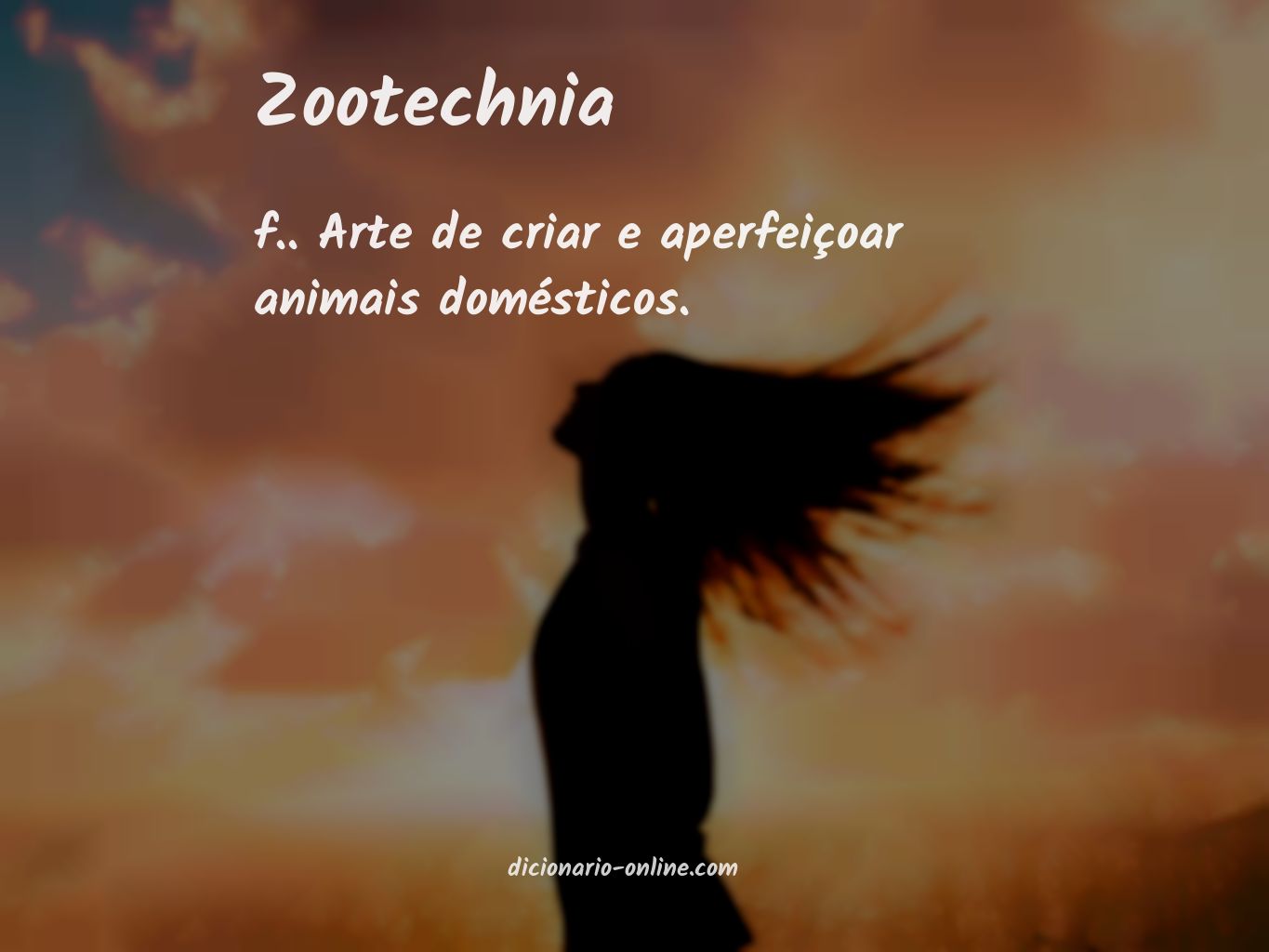 Significado de zootechnia