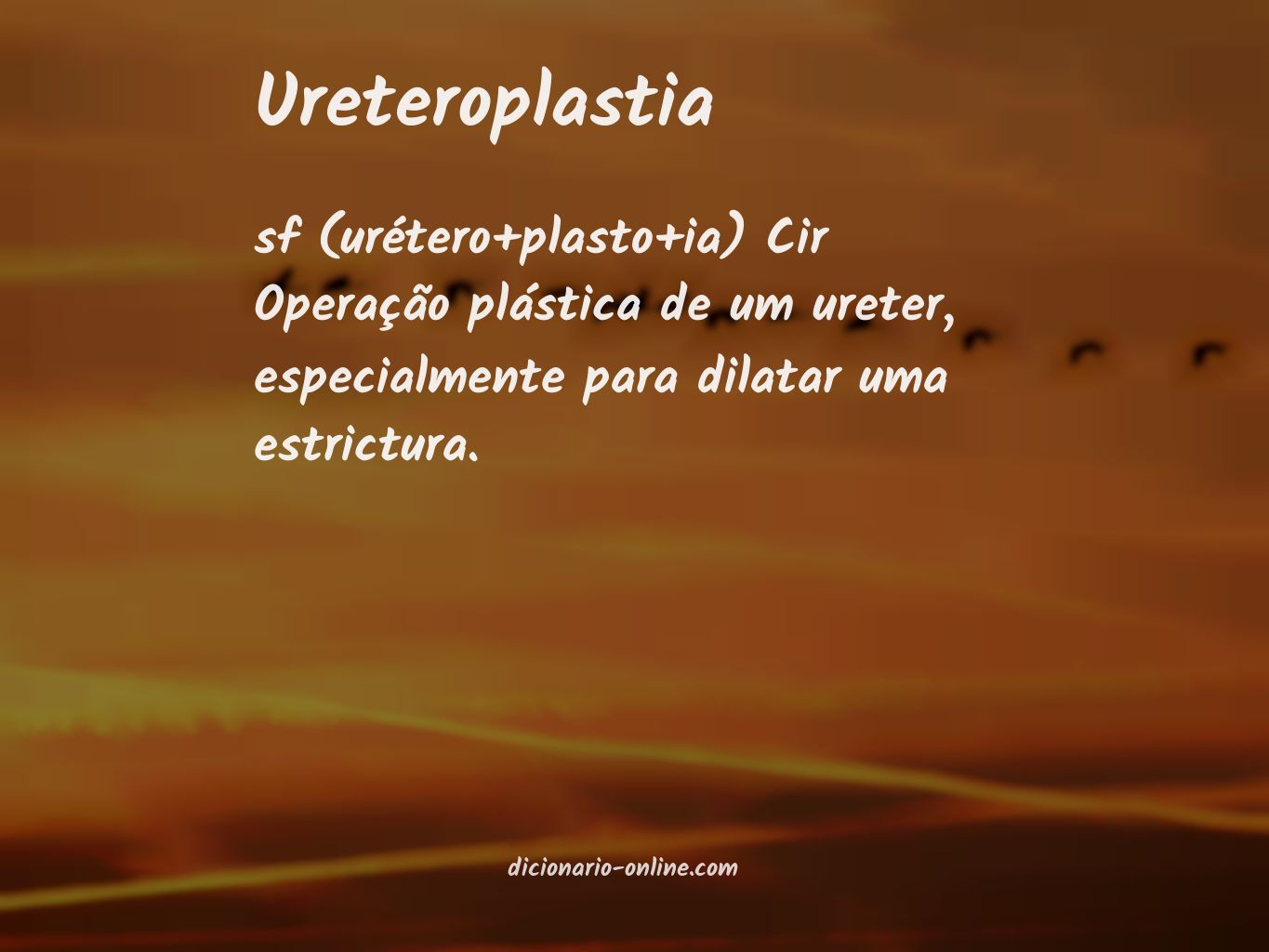 Significado de ureteroplastia