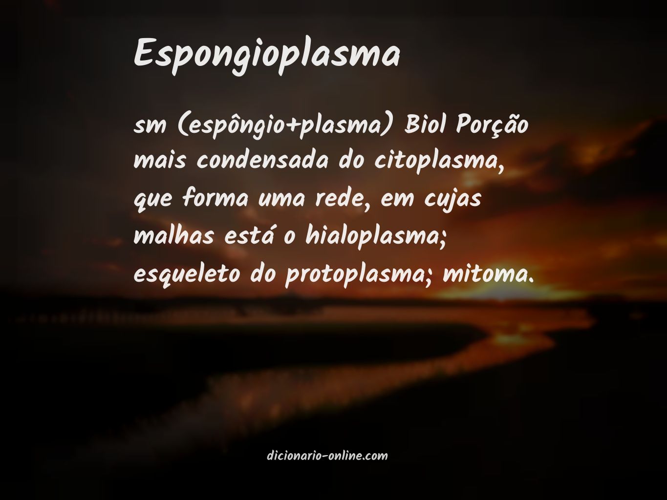 Significado de espongioplasma