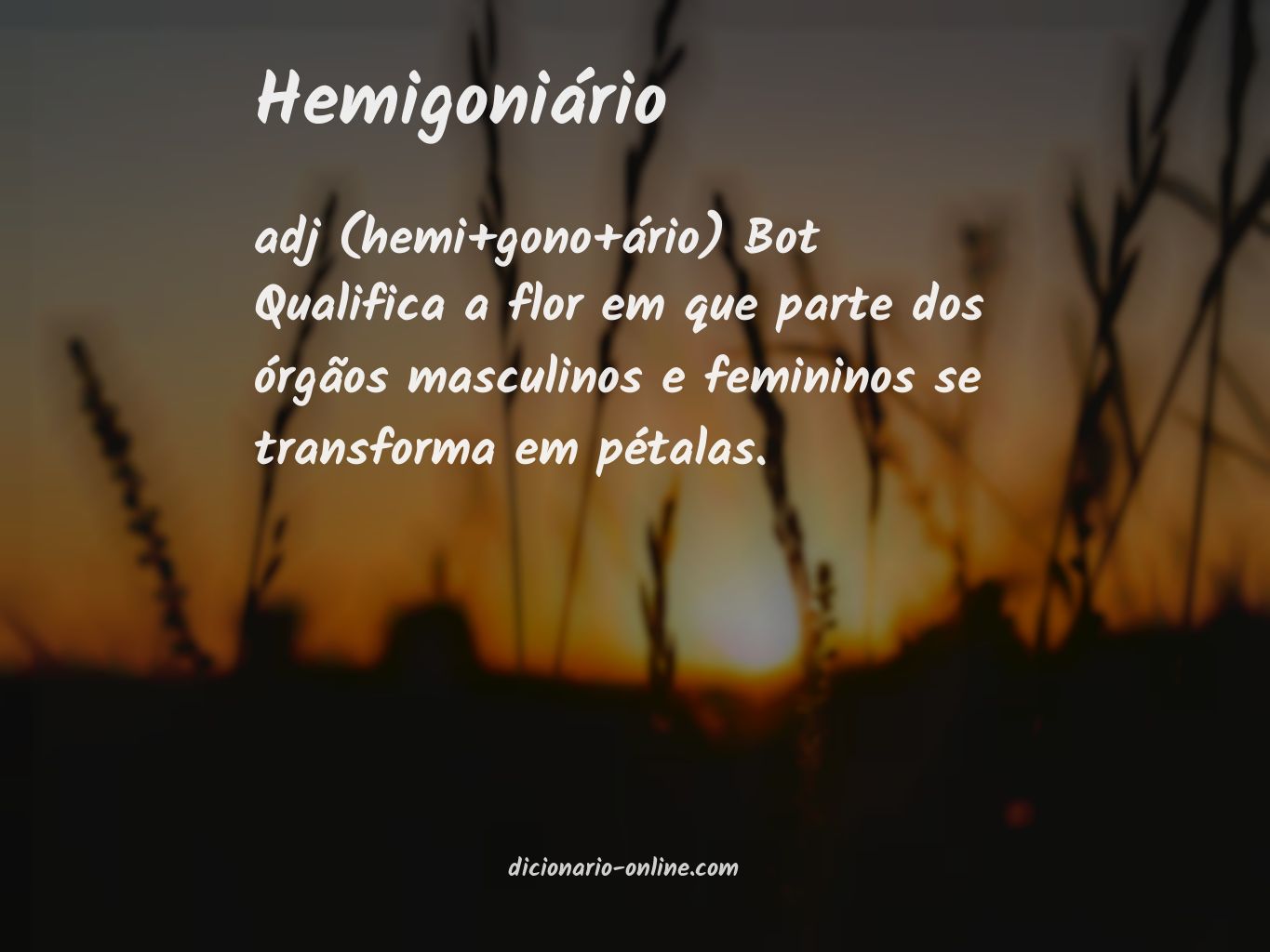 Significado de hemigoniário