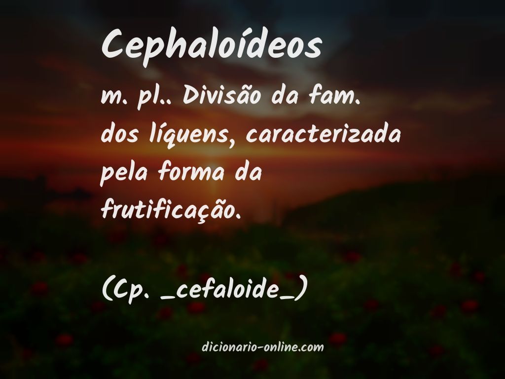 Significado de cephaloídeos