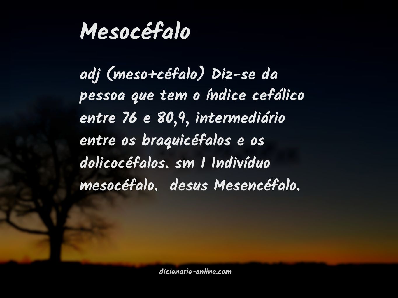 Significado de mesocéfalo