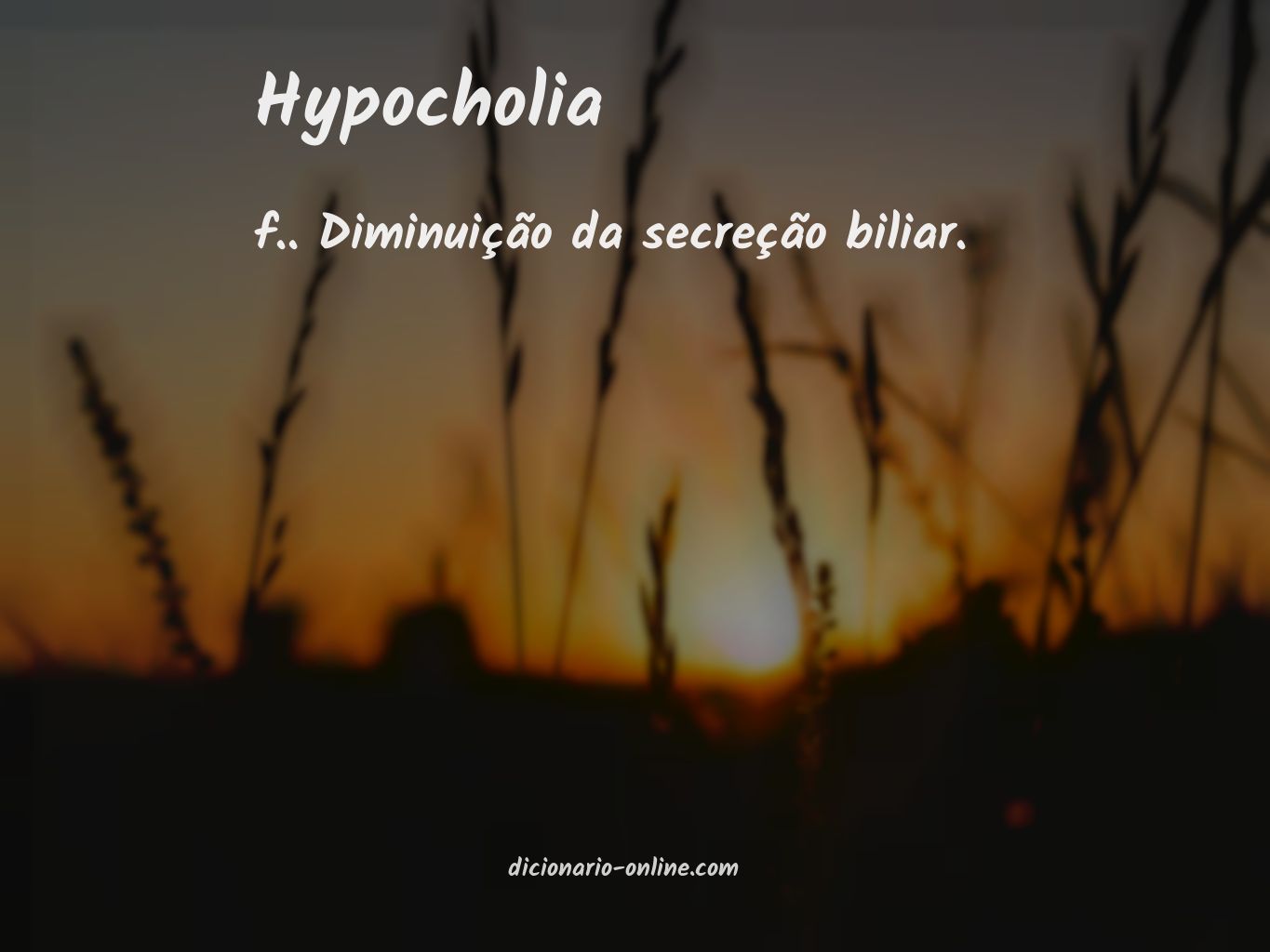 Significado de hypocholia