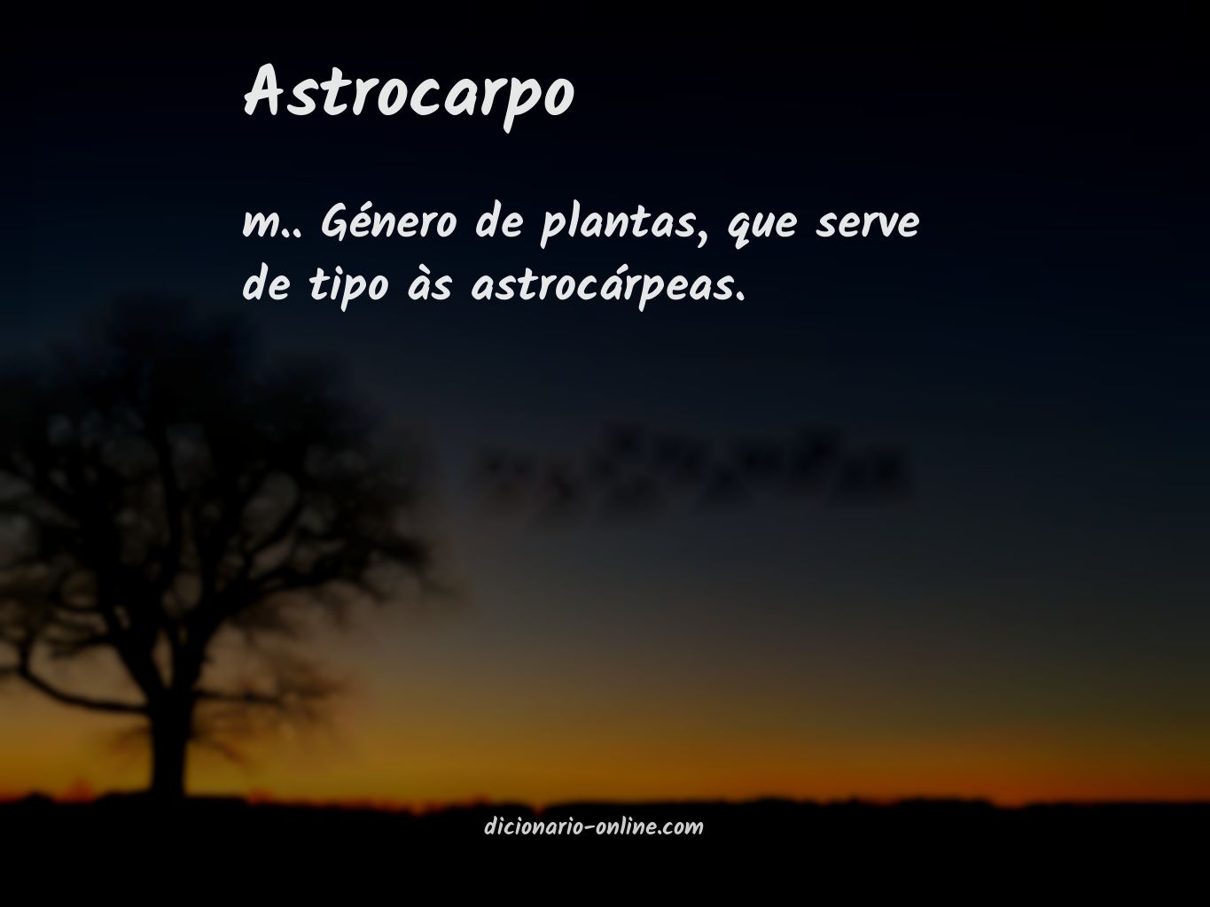 Significado de astrocarpo