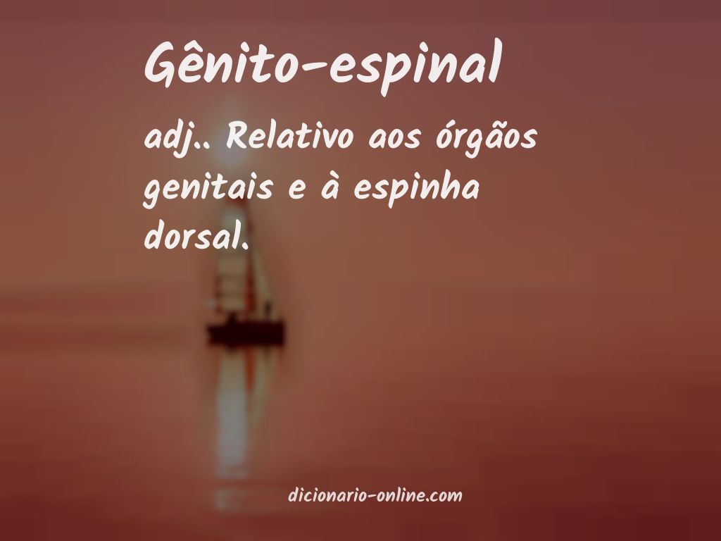 Significado de gênito-espinal