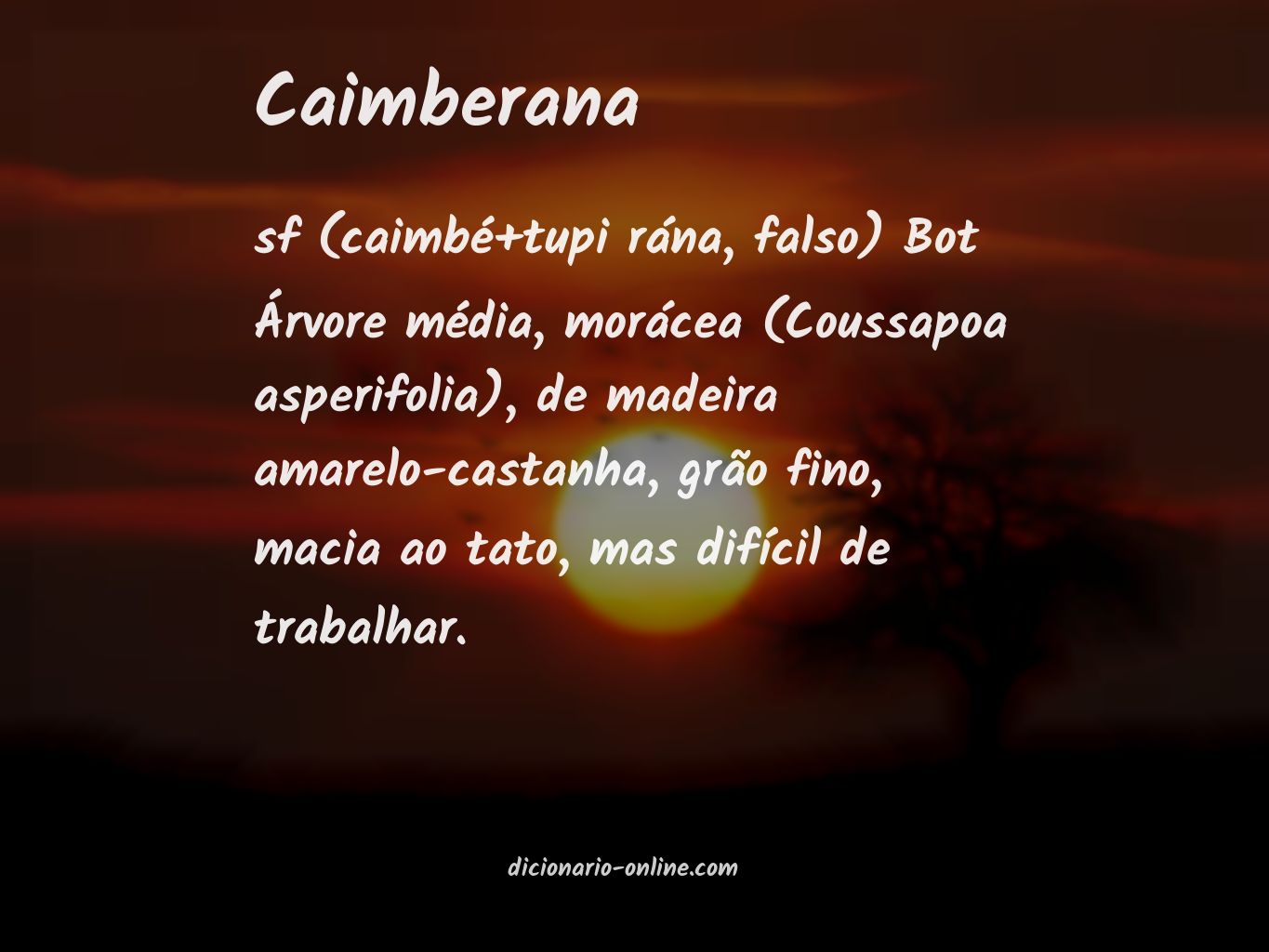 Significado de caimberana