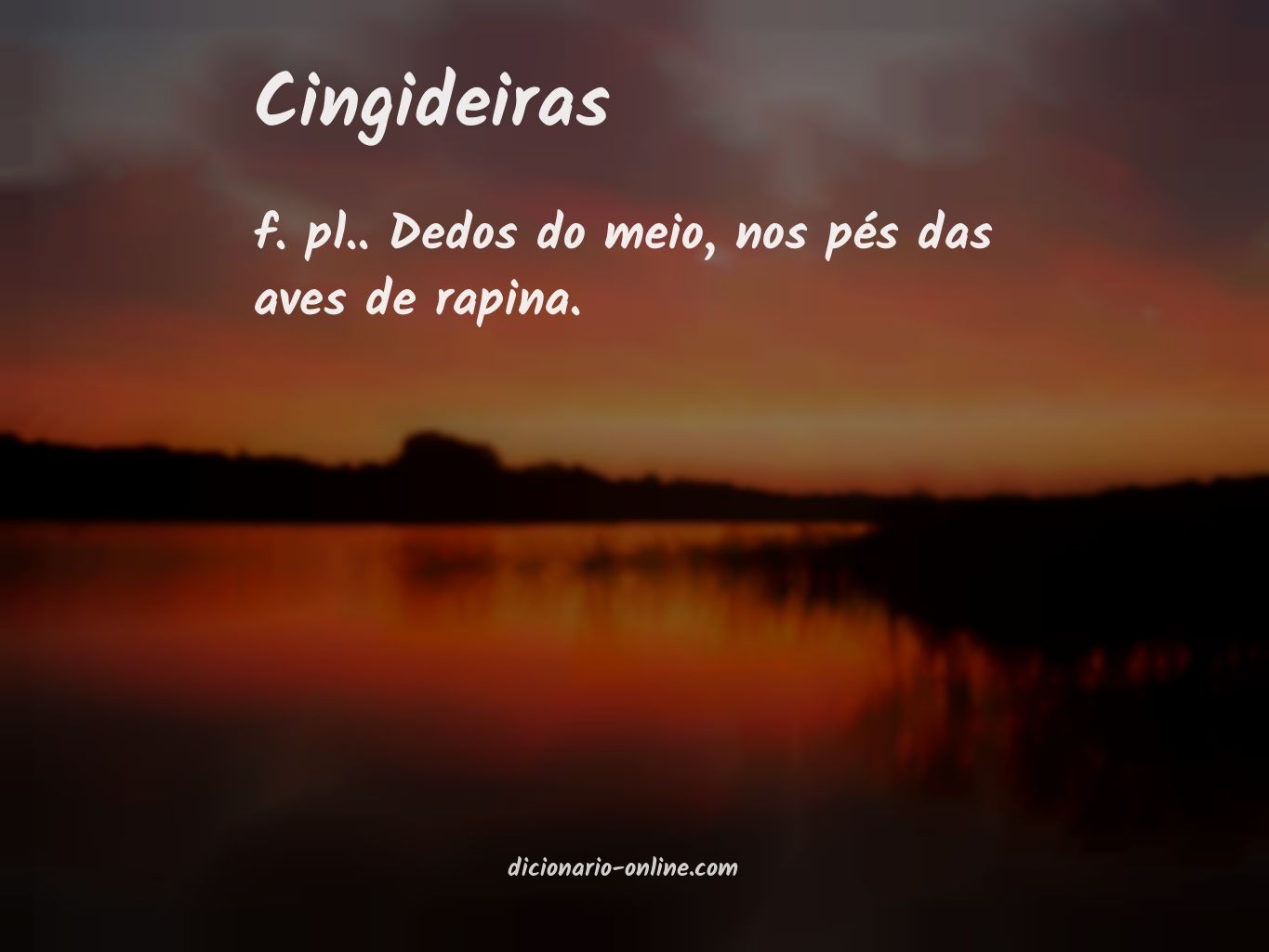 Significado de cingideiras