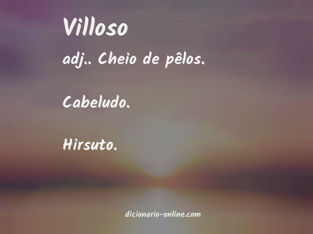 Significado de villoso