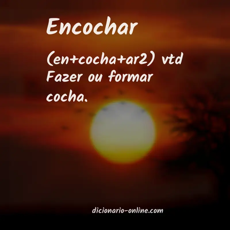 Significado de encochar