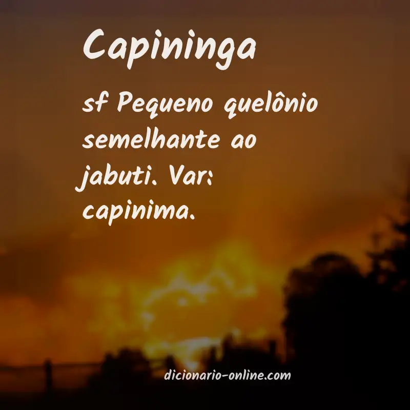 Significado de capininga