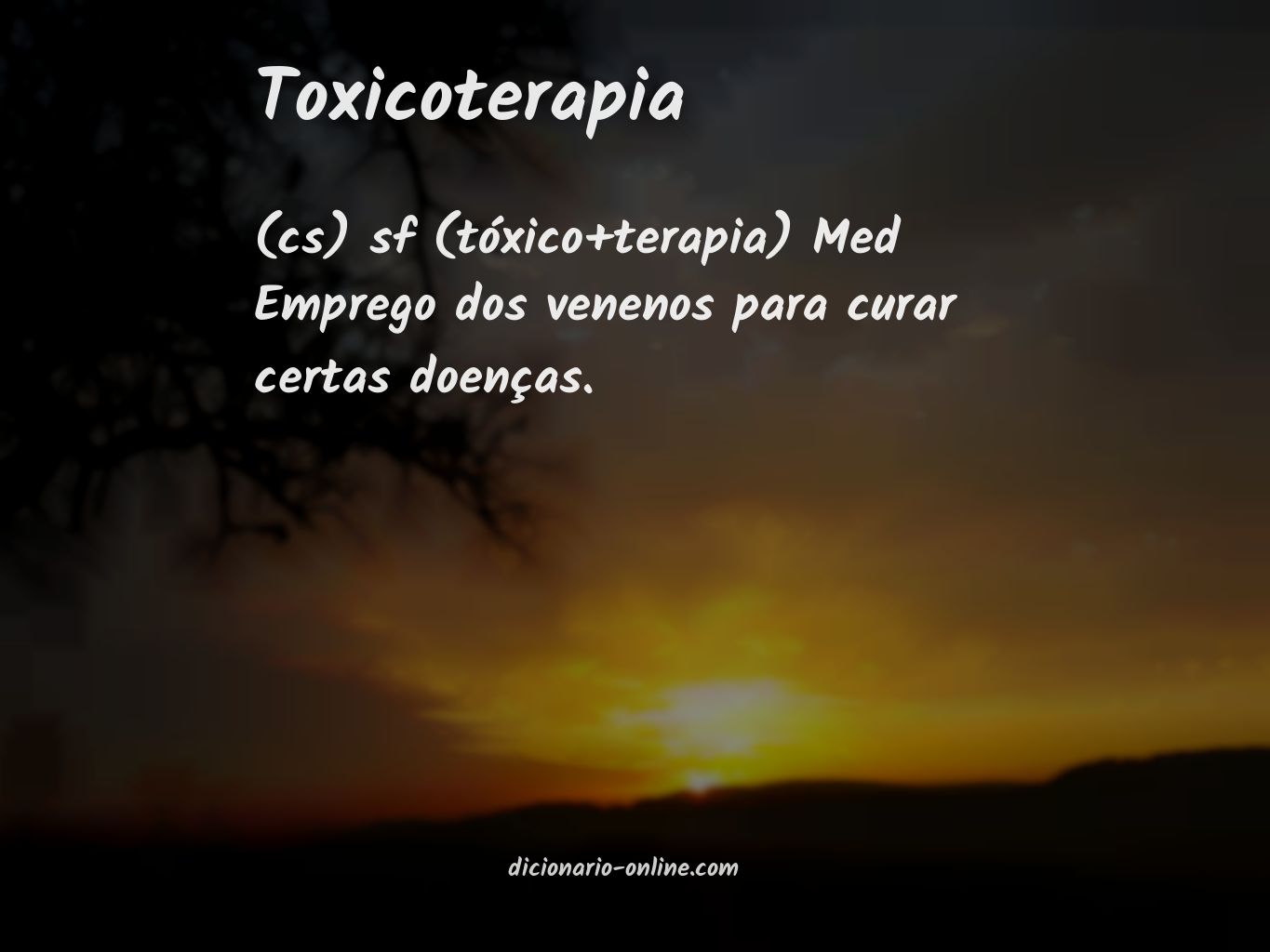 Significado de toxicoterapia