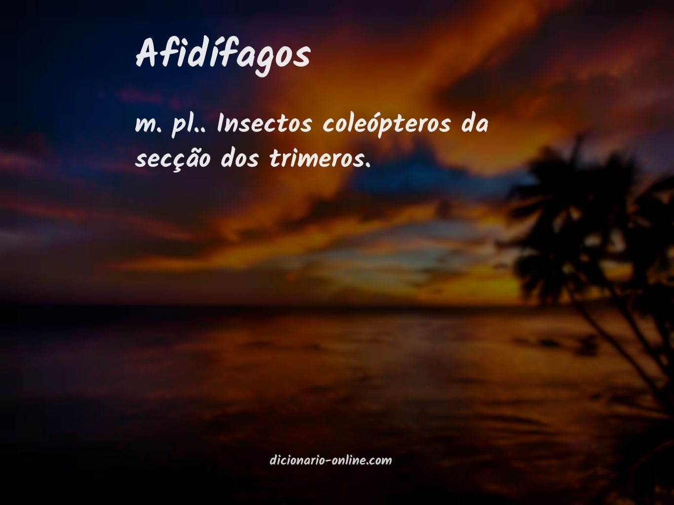 Significado de afidífagos