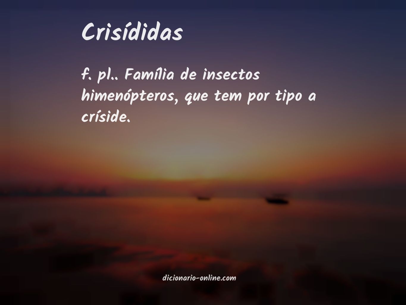 Significado de crisídidas