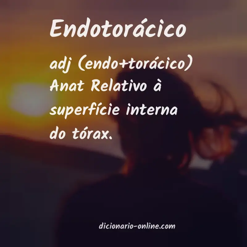 Significado de endotorácico