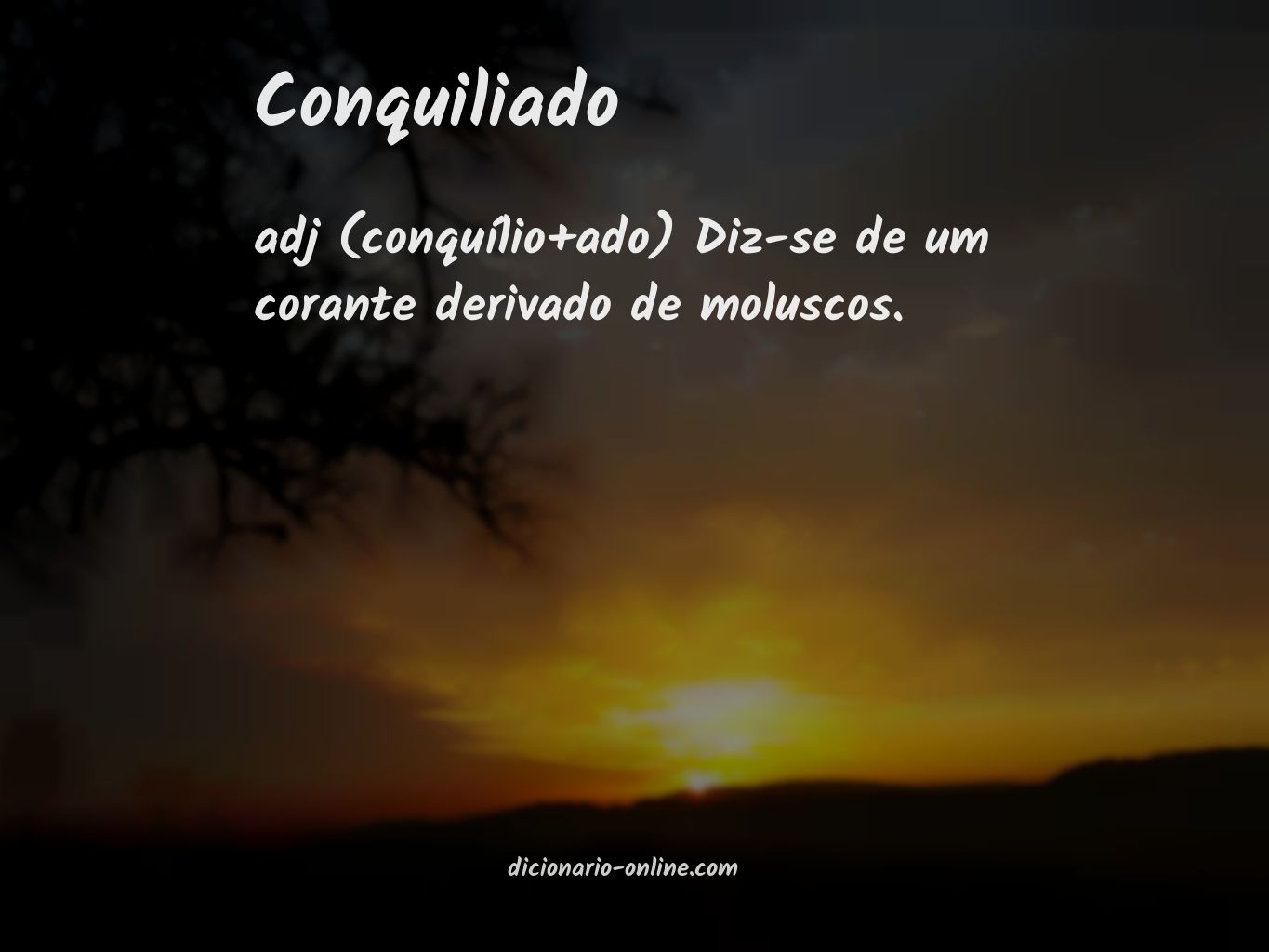 Significado de conquiliado