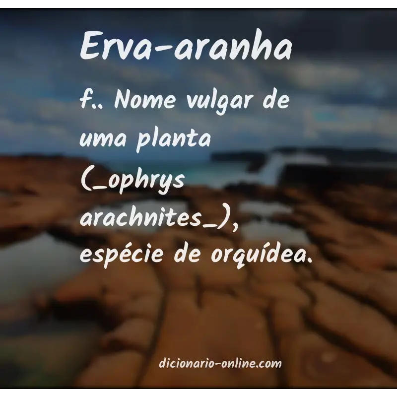 Significado de erva-aranha