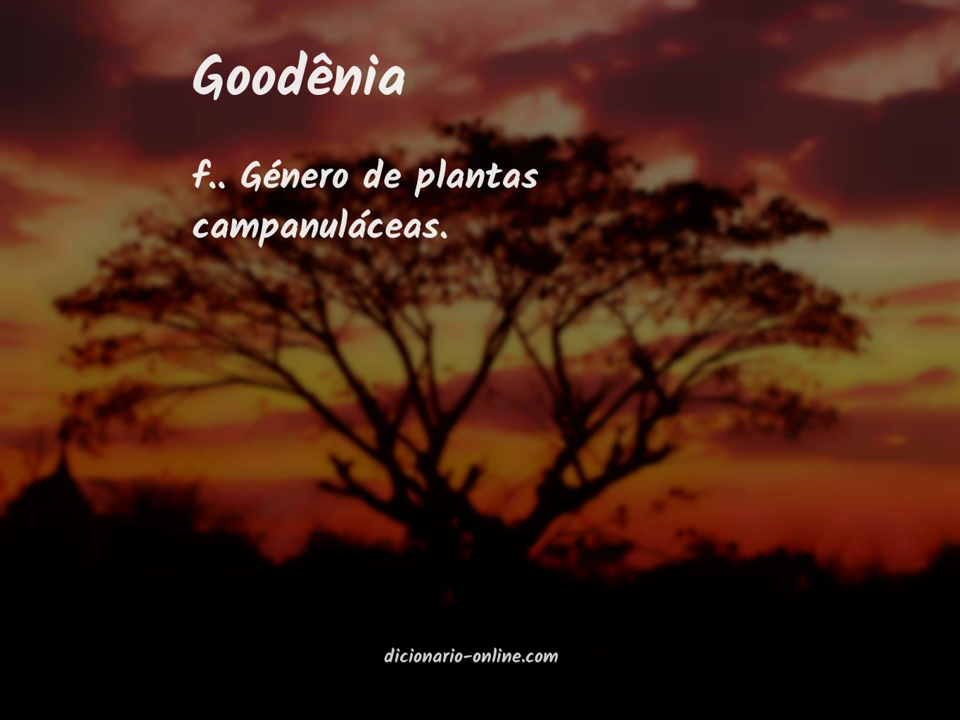 Significado de goodênia