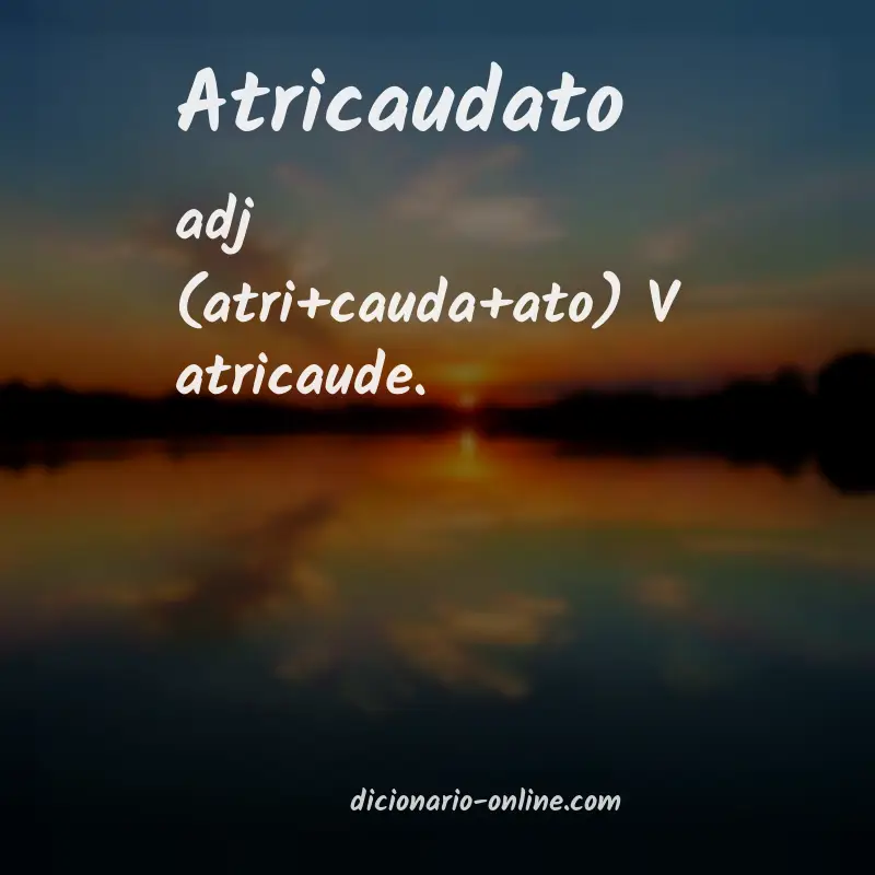 Significado de atricaudato