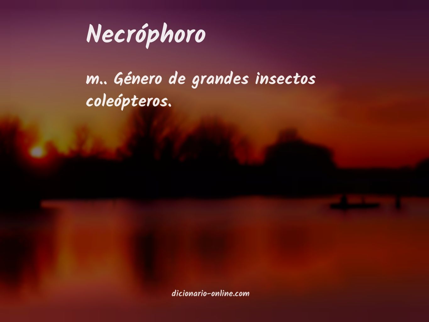 Significado de necróphoro