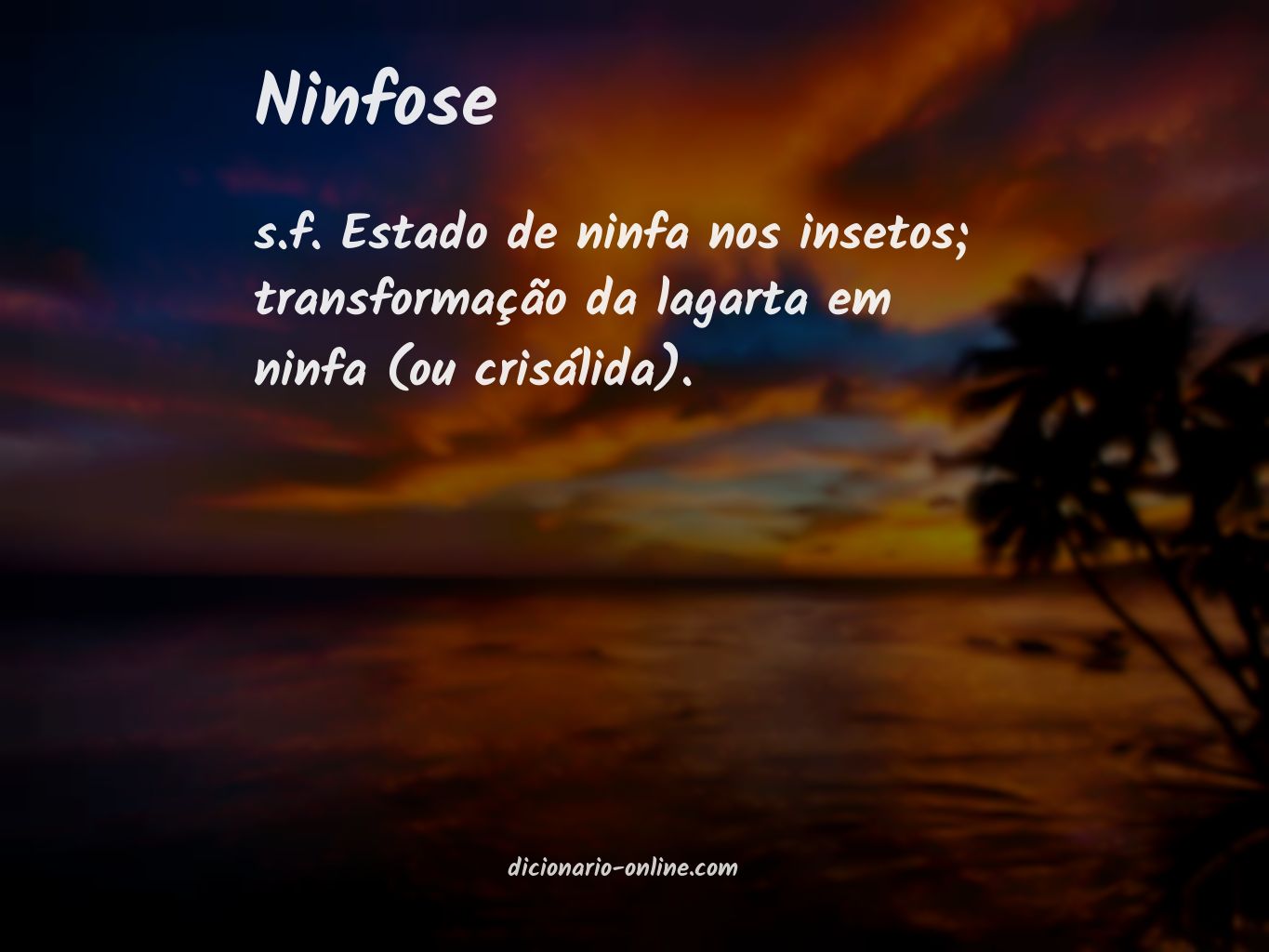 Significado de ninfose