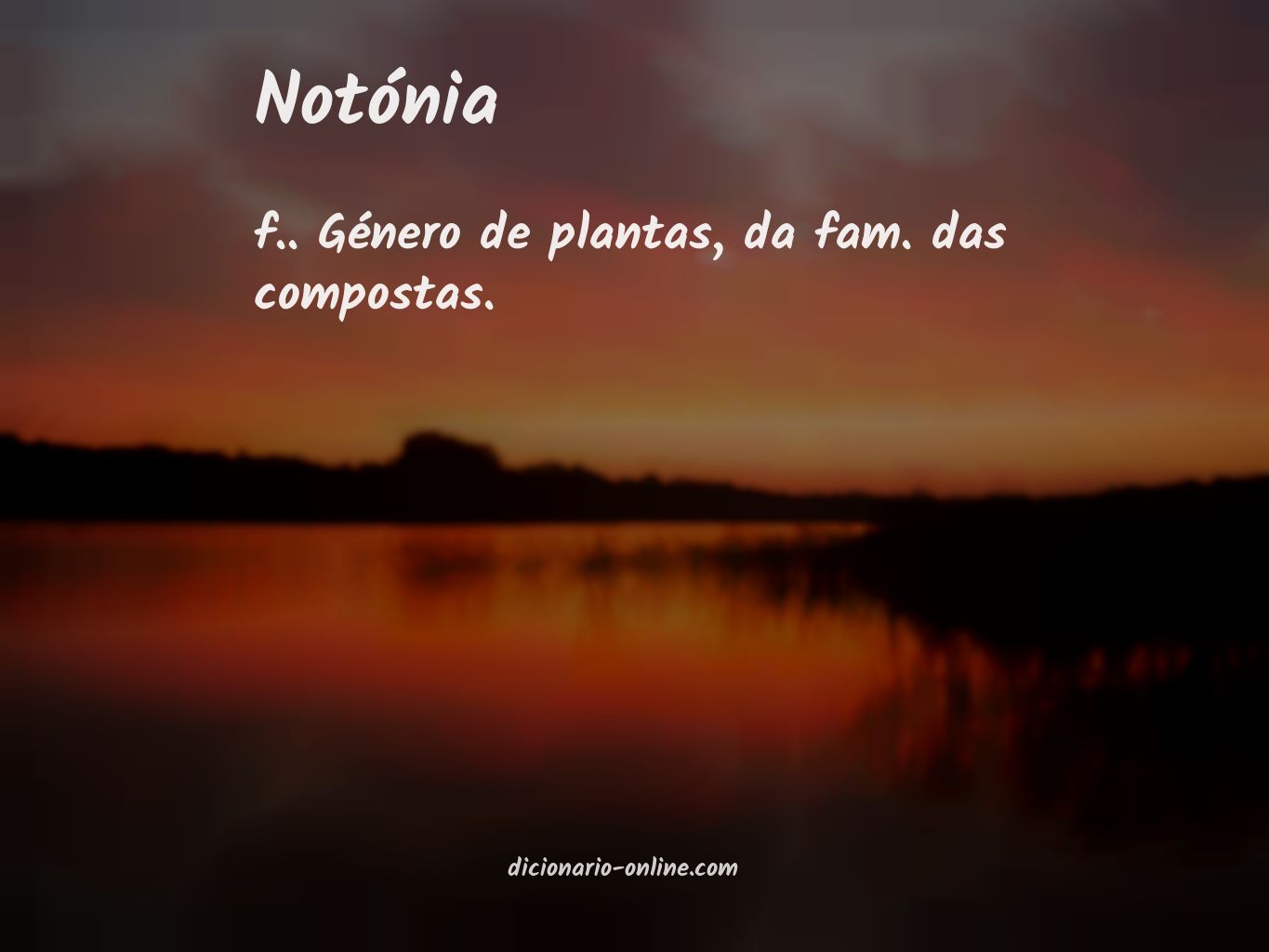 Significado de notónia