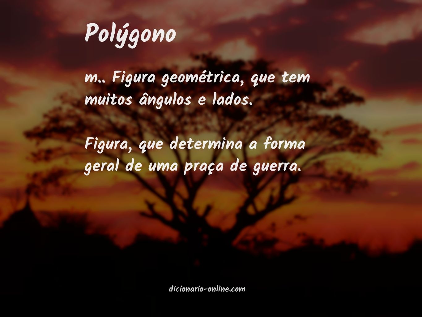 Significado de polýgono