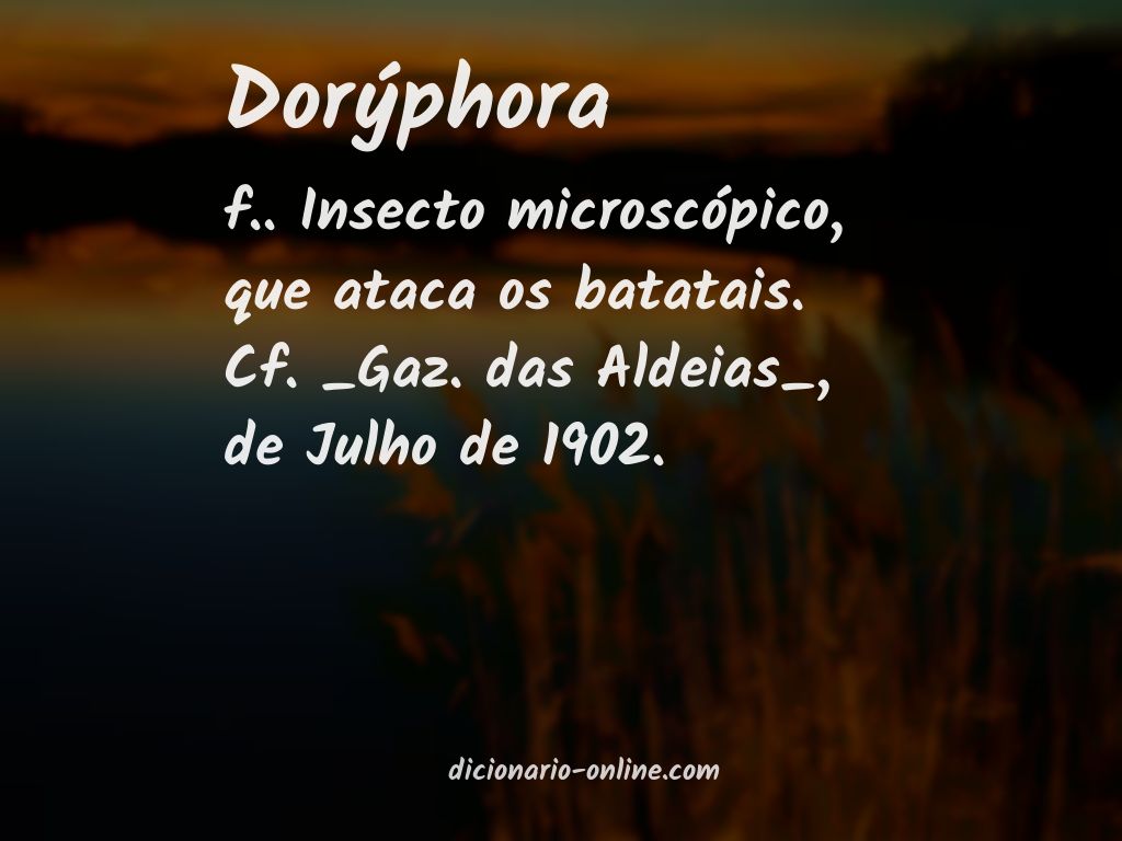 Significado de dorýphora