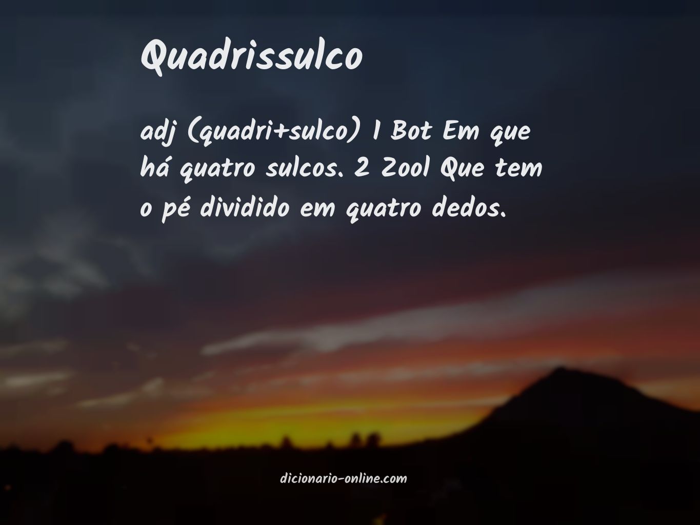 Significado de quadrissulco