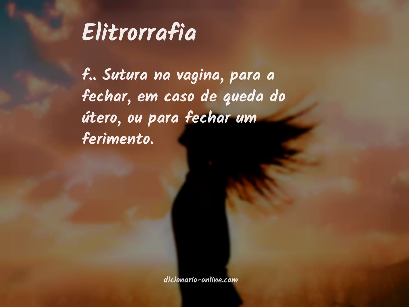 Significado de elitrorrafia