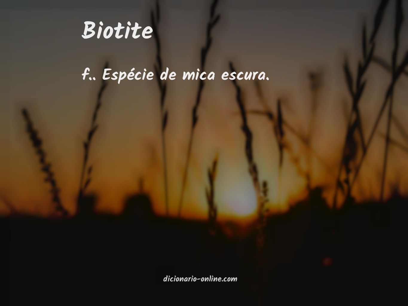 Significado de biotite