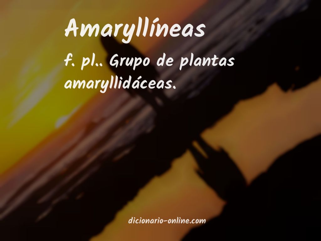 Significado de amaryllíneas