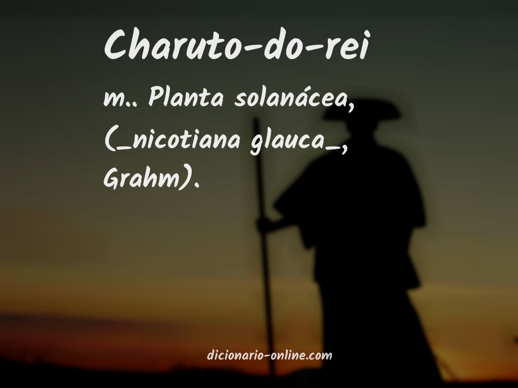 Significado de charuto-do-rei