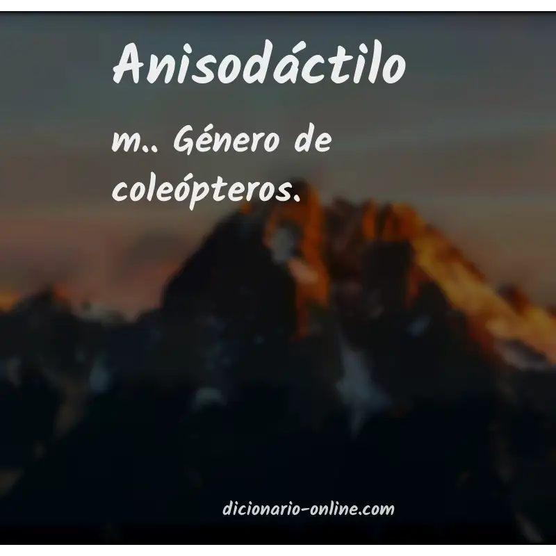 Significado de anisodáctilo
