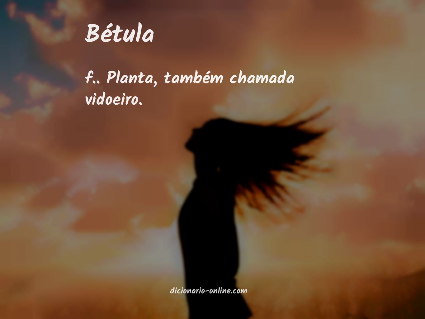 Significado de bétula