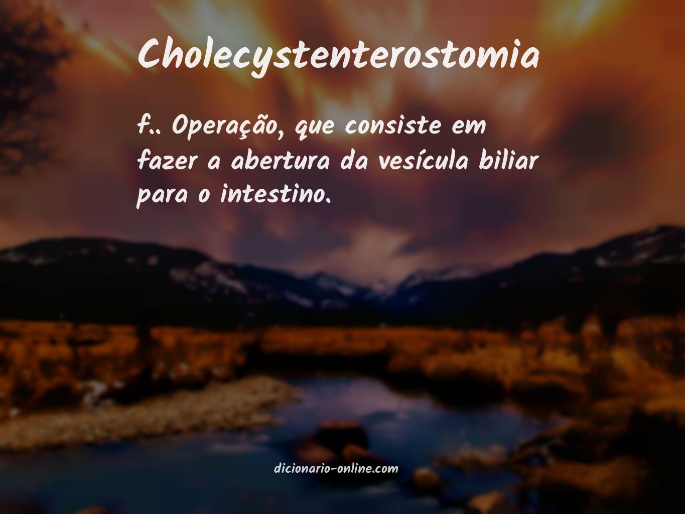 Significado de cholecystenterostomia