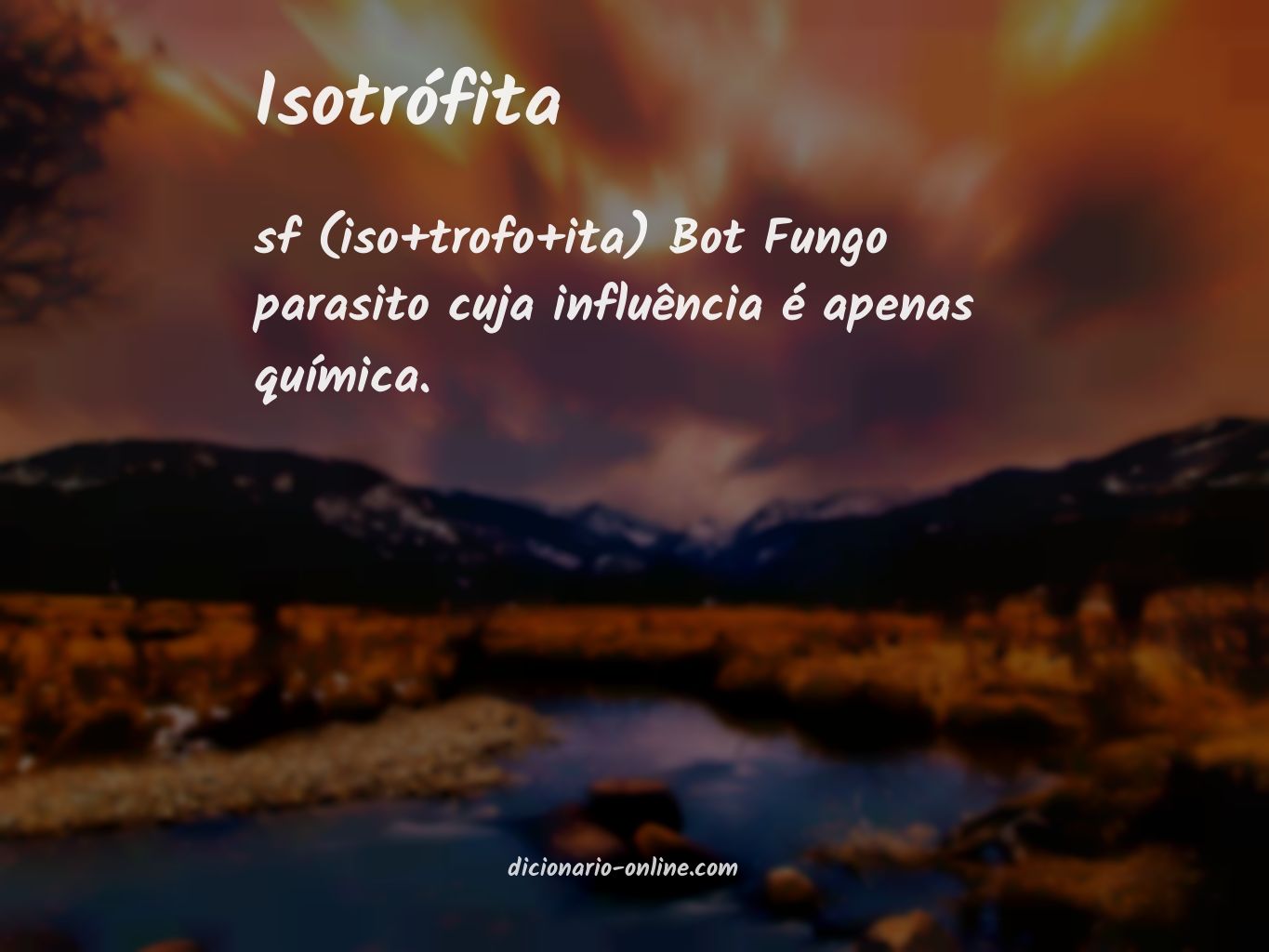 Significado de isotrófita