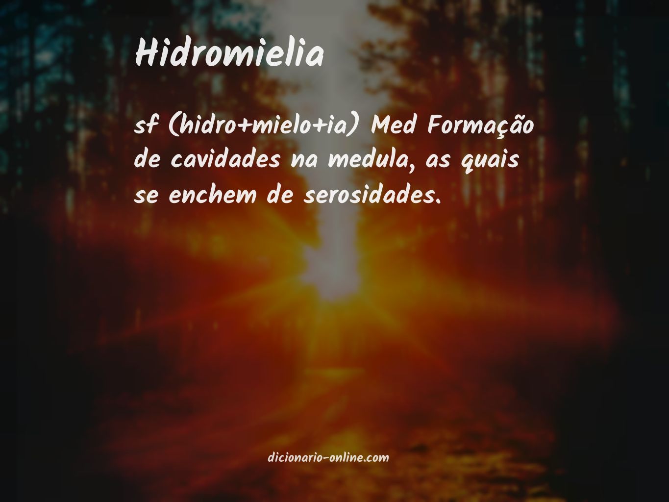 Significado de hidromielia